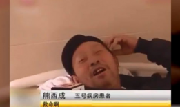 美女被打肚子视频,美女被打肚子，引发社会关注与反思