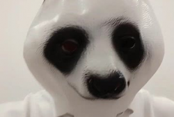 熊猫搞笑视频,萌化你的每一天