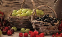 水果视频下载,轻松获取海量精彩内容